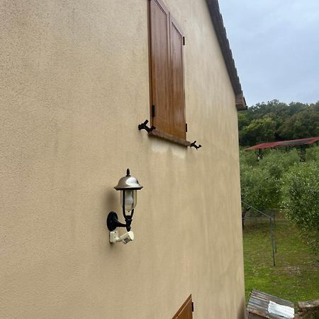 Agriturismo Il Sorbo Appartamento Menta Sticciano Exterior photo